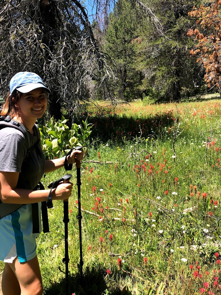 Mia and some pretty wildflowers