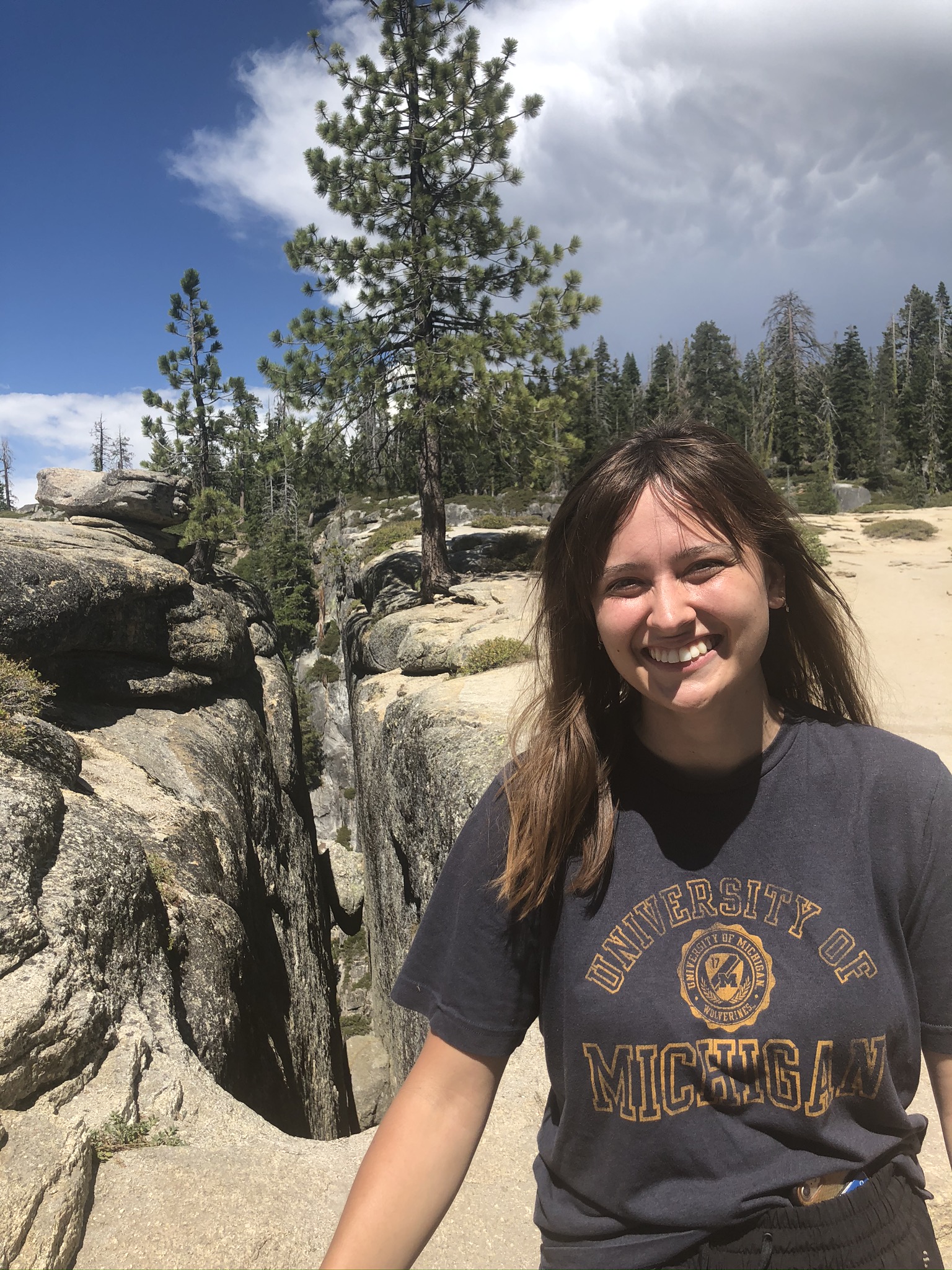 The infamous fissures of Taft point. Geologic cause is still a mystery