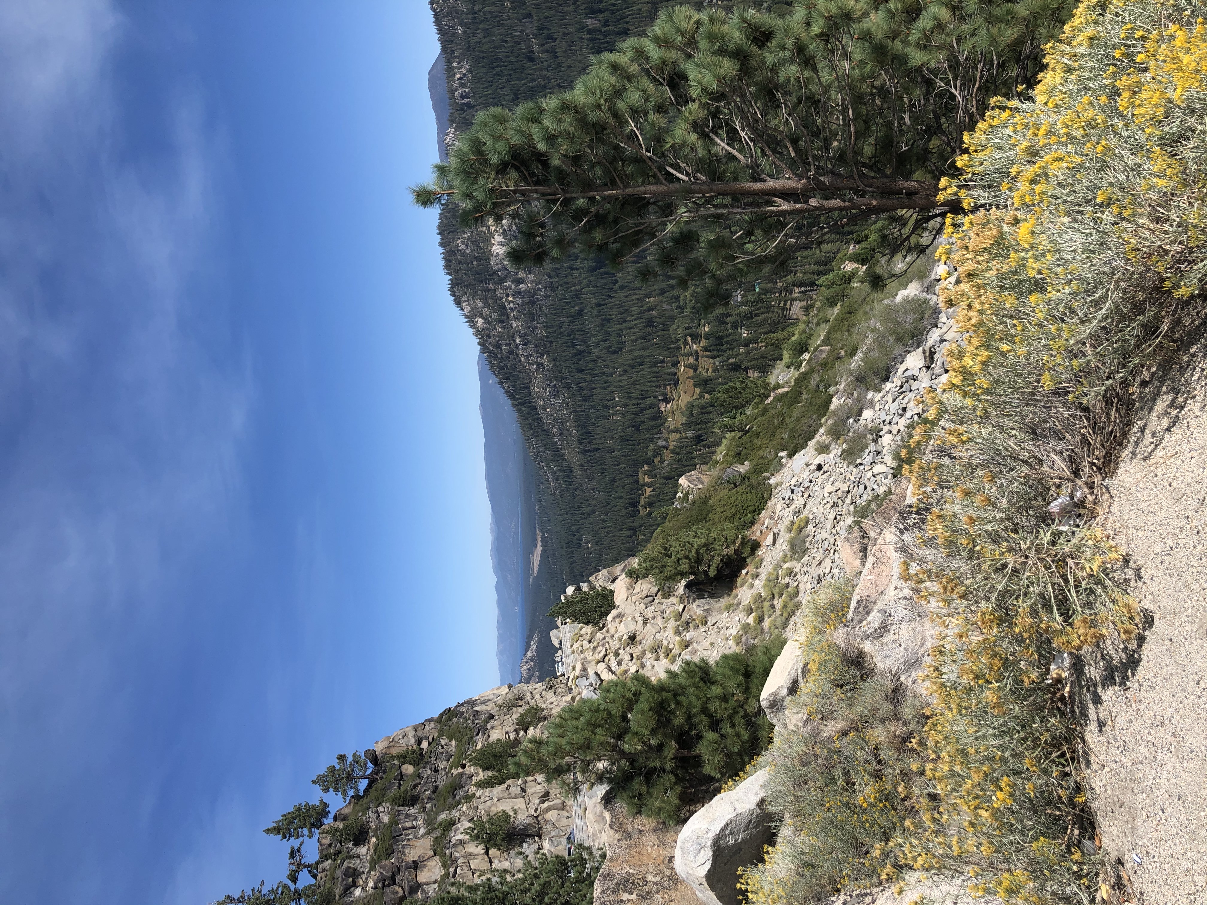 Stretched our legs along highway 50 near South Lake Tahoe